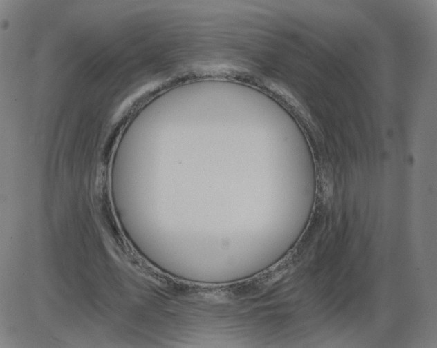 X0000084040583200703161833