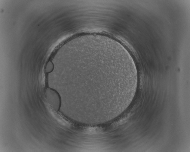 X0000084040584200703161833