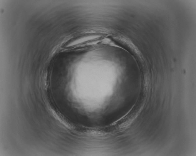 X0000084040585200703161833