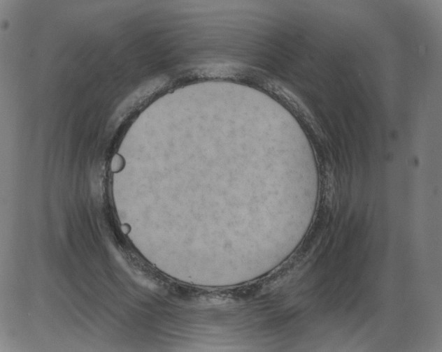 X0000084040586200703161833