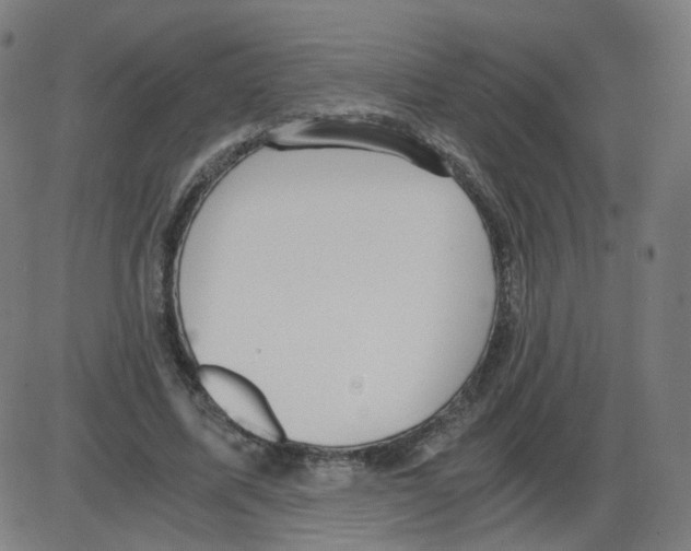 X0000084040587200703161833