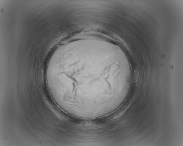 X0000084040589200703161833