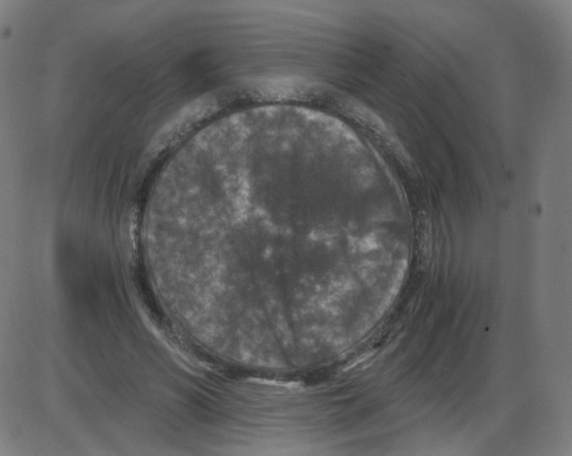 X0000084040590200703161833