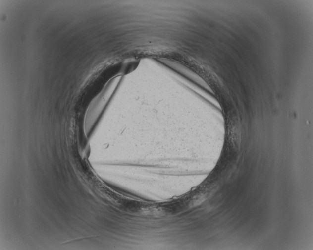 X0000084040591200703161833