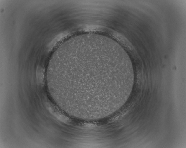 X0000084040592200703161833