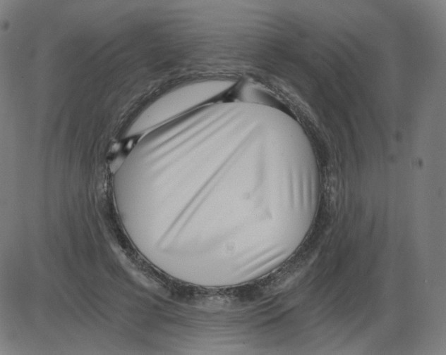 X0000084040593200703161833