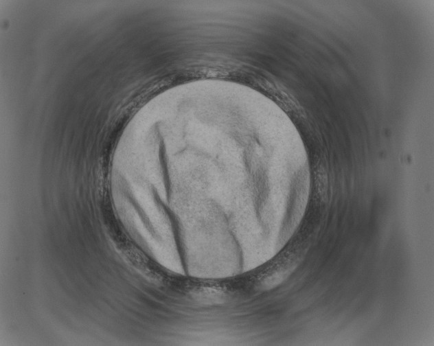 X0000084040594200703161833