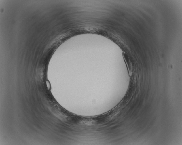 X0000084040595200703161833