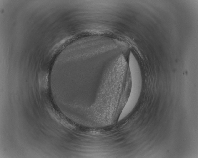 X0000084040596200703161833