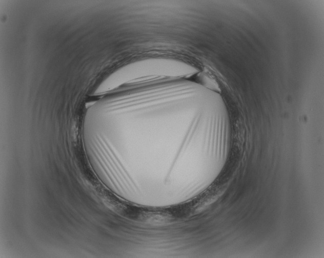 X0000084040597200703161833