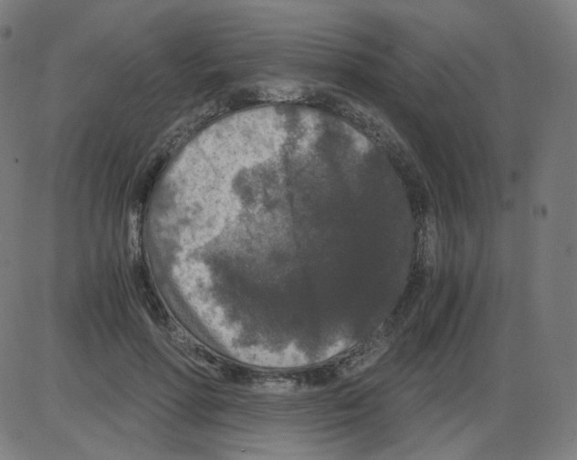 X0000084040598200703161833