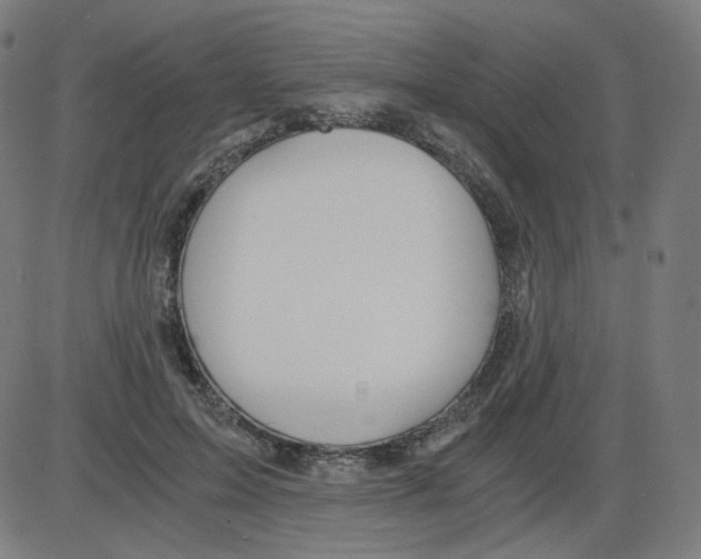 X0000084040599200703161833