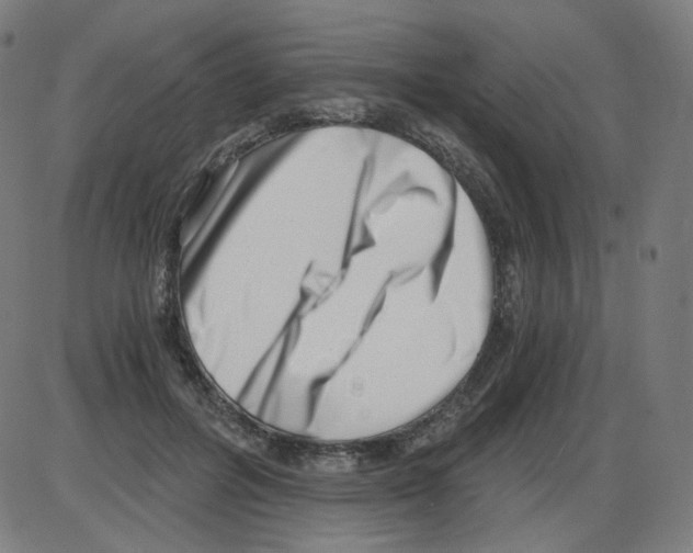 X0000084040600200703161833