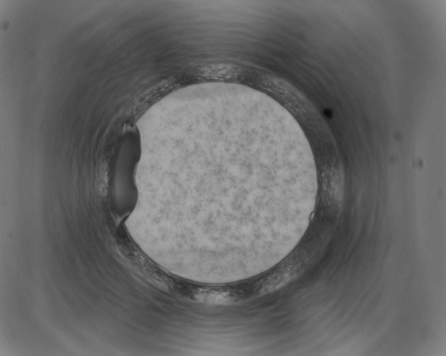 X0000084040602200703161833