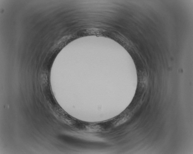 X0000084040603200703161833