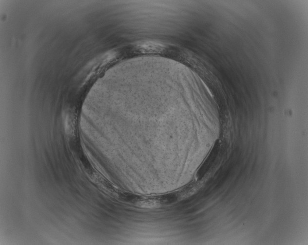 X0000084040604200703161833