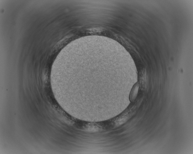 X0000084040608200703161833