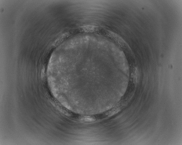 X0000084040610200703161833