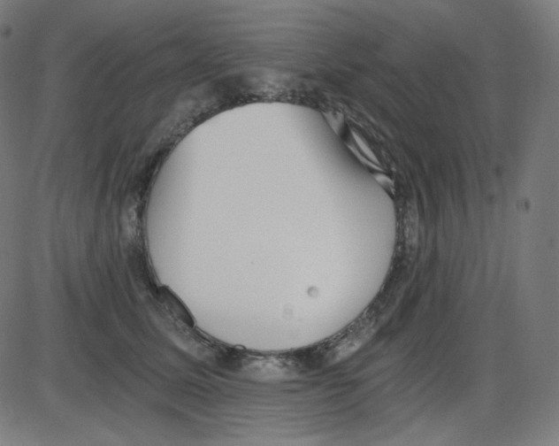 X0000084040611200703161833