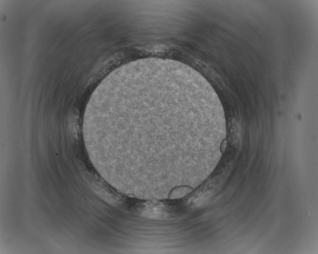 X0000084040612200703161833