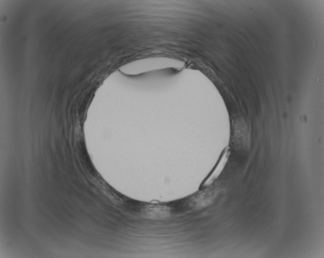 X0000084040617200703161833