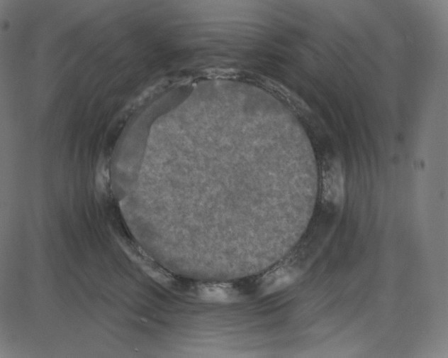 X0000084040618200703161833