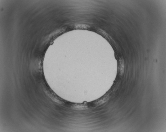 X0000084040619200703161833