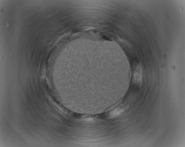 X0000084040620200703161833