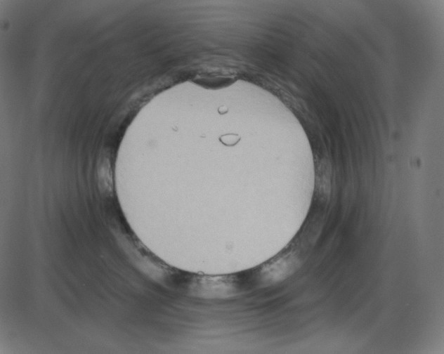 X0000084040622200703161833