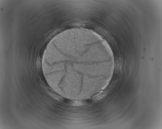 X0000084040623200703161833