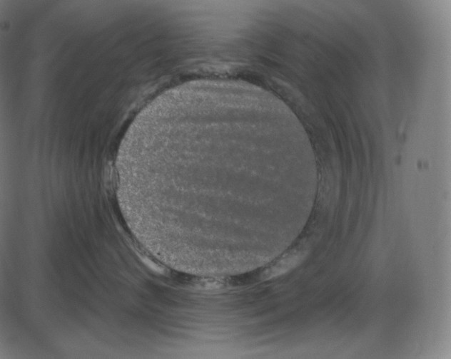 X0000084040624200703161833