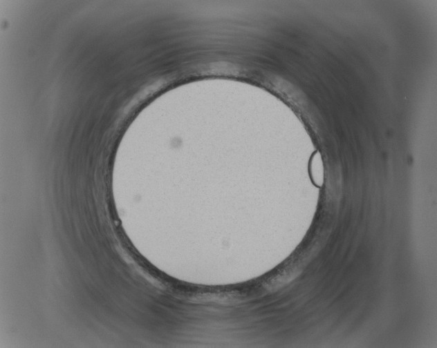 X0000084040625200703161832