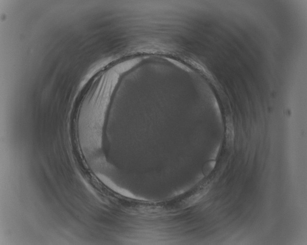 X0000084040626200703161832