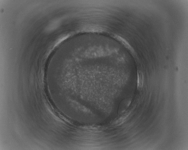 X0000084040627200703161832