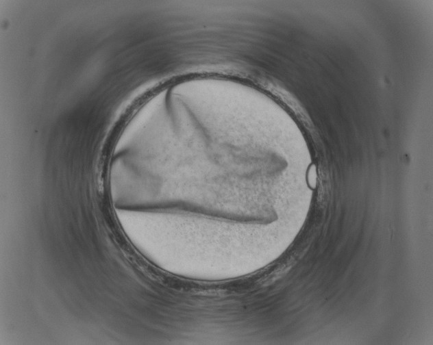 X0000084040628200703161832