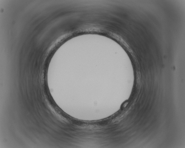 X0000084040629200703161832