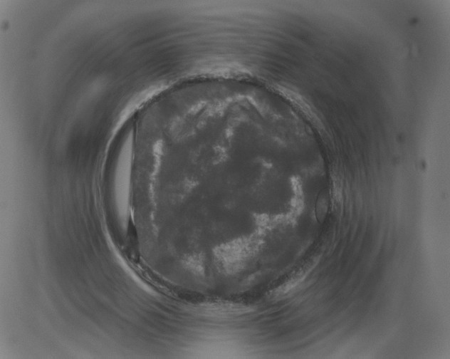 X0000084040630200703161832