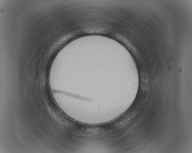 X0000084040631200703161832