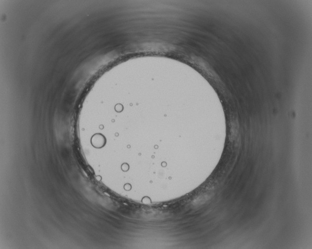 X0000084040632200703161832