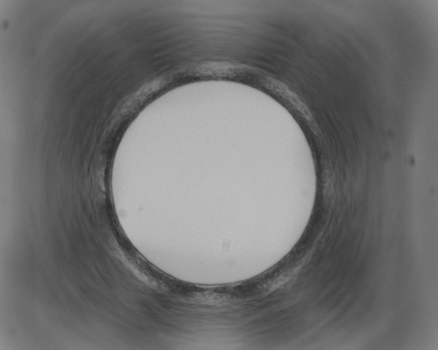 X0000084040633200703161832