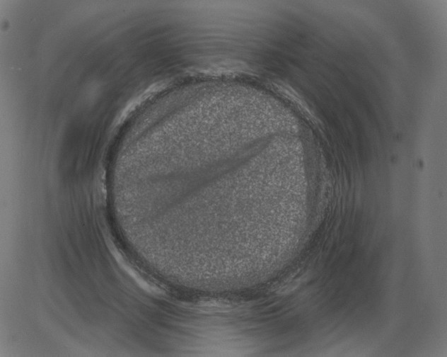 X0000084040634200703161832