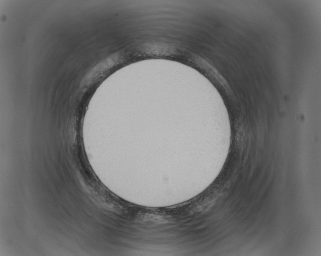 X0000084040635200703161832