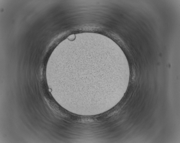 X0000084040636200703161832