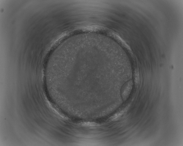 X0000084040637200703161832