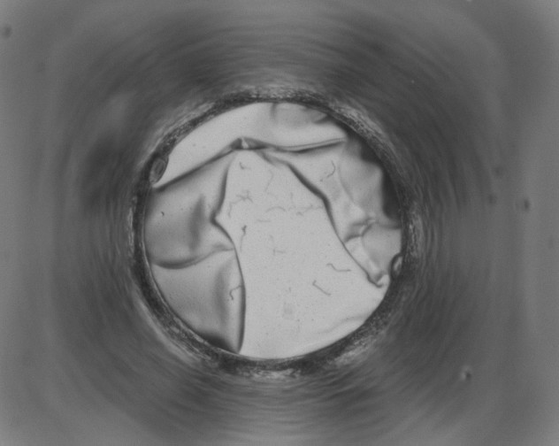 X0000084040638200703161832