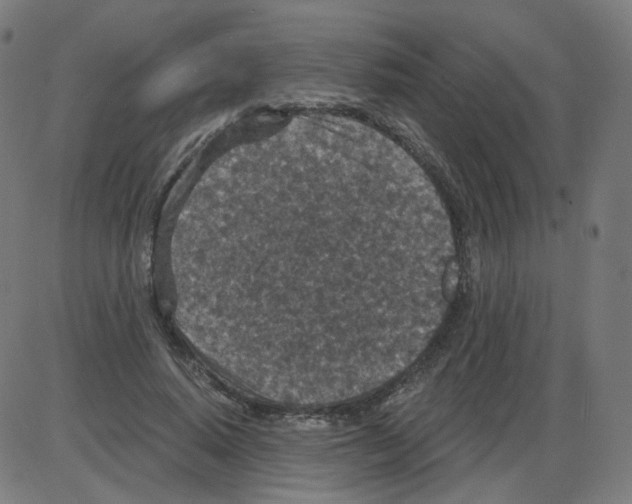 X0000084040640200703161832