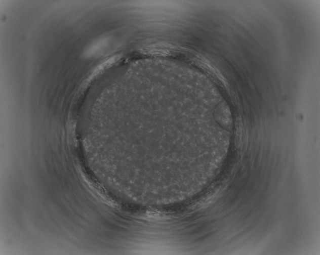 X0000084040641200703161832