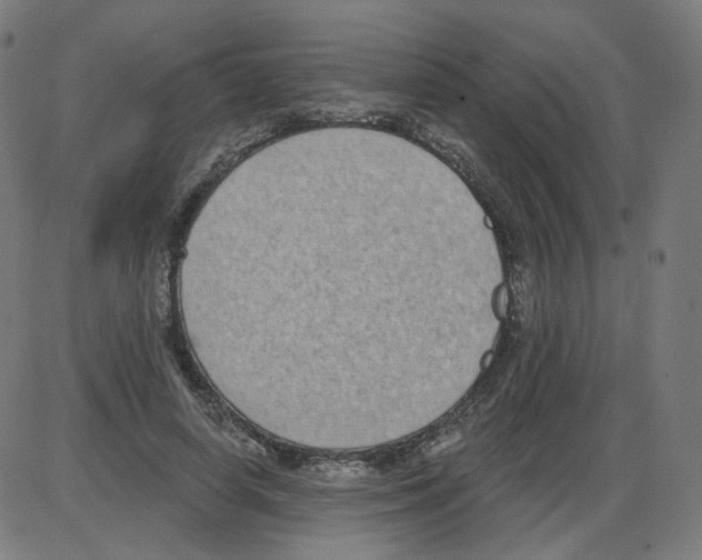 X0000084040642200703161832