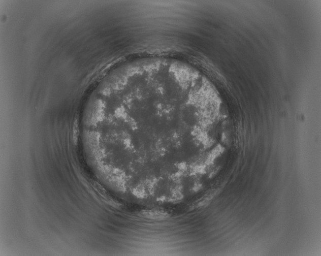 X0000084040644200703161832