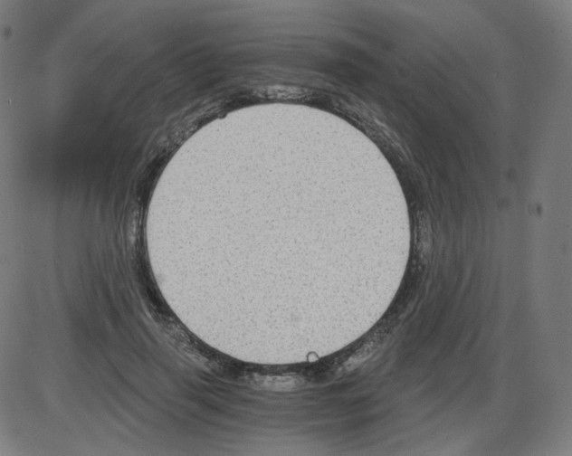 X0000084040645200703161832